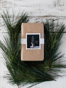 Rustic gift box surrounded by evergreen leaves and resting on wood planks