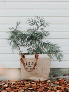 Burlap bag with green tree boughs in it, fall leaves lying on the ground